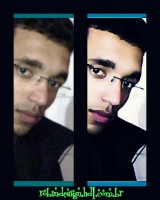 /album/galeria-de-fotos/papel-de-parede4-jpg/